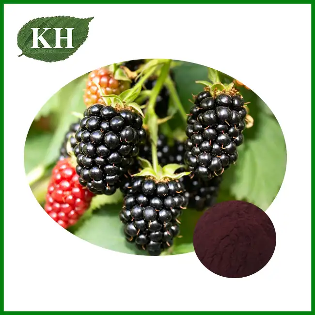 Blackberry Powder